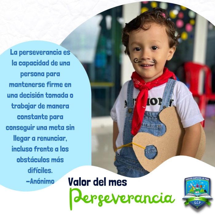 WhatsApp Image 2025-09-11 at 2.37.45 PM